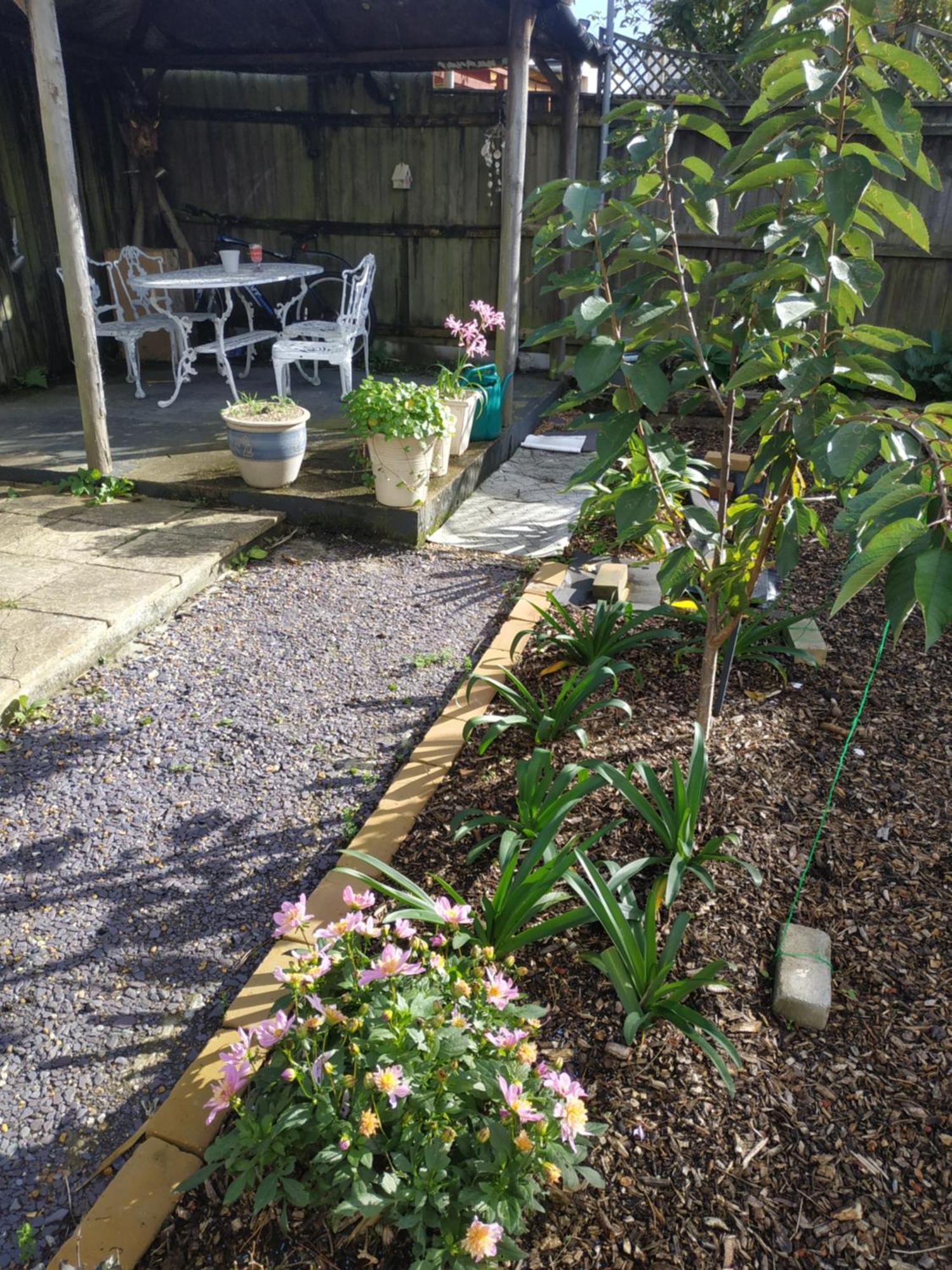Spring Lodge Bournemouth Zewnętrze zdjęcie